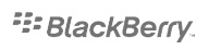 Reference_blackberry_logo